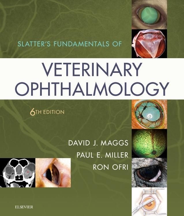 Produktbild: Slatter's Fundamentals of Veterinary Ophthalmology