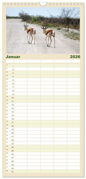 Produktbild: Familienplaner 2026 - Roadtrip in Namibia mit 5 Spalten (Wandkalender, 21 x 45 cm) CALVENDO