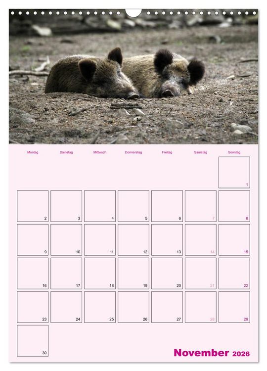 Produktbild: Schweinischer Terminplaner (Wandkalender 2026 DIN A3 hoch), CALVENDO Monatskalender