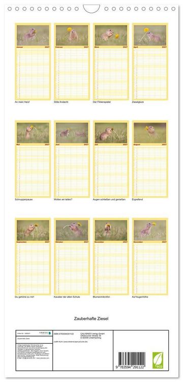 Produktbild: Familienplaner 2027 - Zauberhafte Ziesel mit 5 Spalten (Wandkalender, 21 x 45 cm) CALVENDO