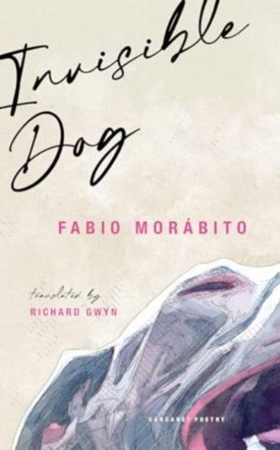 Produktbild: Invisible Dog