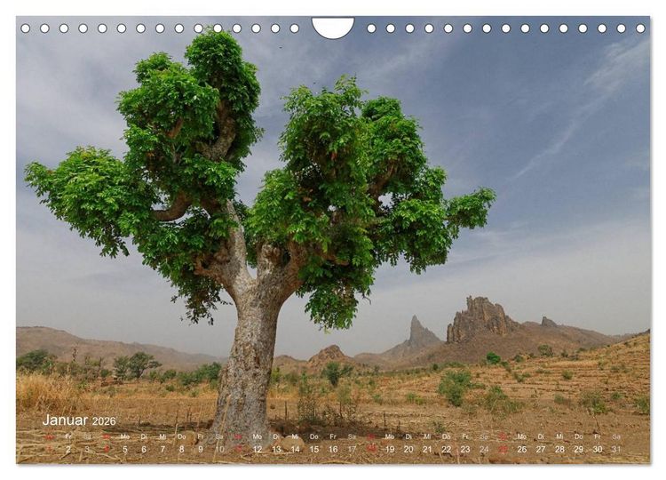 Produktbild: Afrikanische B&auml;ume (Wandkalender 2026 DIN A4 quer), CALVENDO Monatskalender