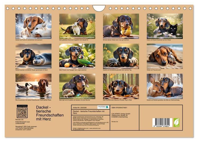 Produktbild: Dackel - tierische Freundschaften mit Herz (Wandkalender 2027 DIN A4 quer), CALVENDO Monatskalender