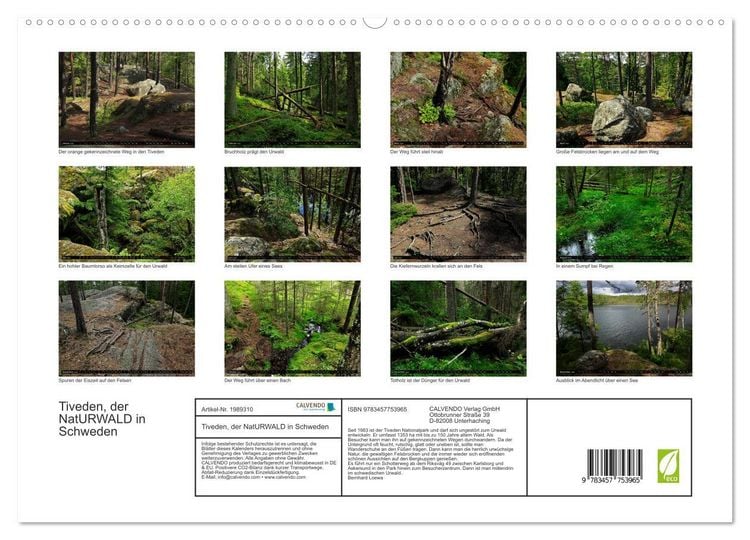 Produktbild: Tiveden, der NatURWALD in Schweden (hochwertiger Premium Wandkalender 2026 DIN A2 quer), Kunstdruck in Hochglanz