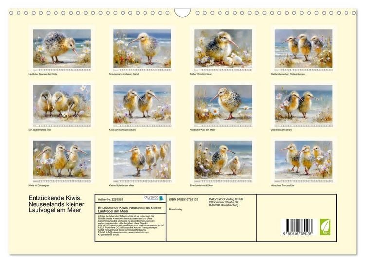 Produktbild: Entz&uuml;ckende Kiwis. Neuseelands kleiner Laufvogel am Meer (Wandkalender 2027 DIN A3 quer), CALVENDO Monatskalender