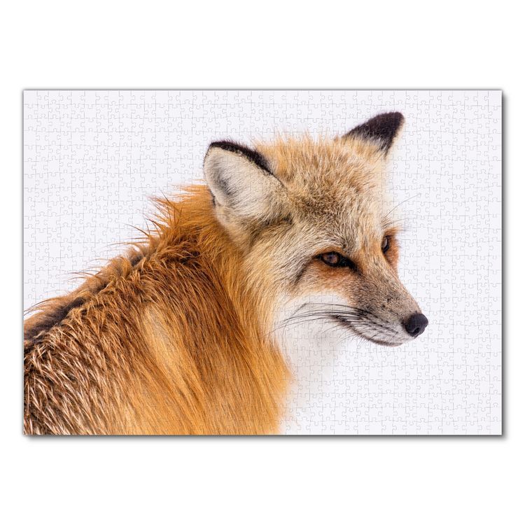 Produktbild: Lais Puzzle Rotfuchs 1000 Teile