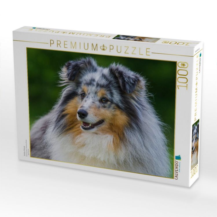 Produktbild: CALVENDO Puzzle Sheltie-Portr&auml;t | 1000 Teile Lege-Gr&ouml;&szlig;e 64x48cm Foto-Puzzle f&uuml;r gl&uuml;ckliche Stunden