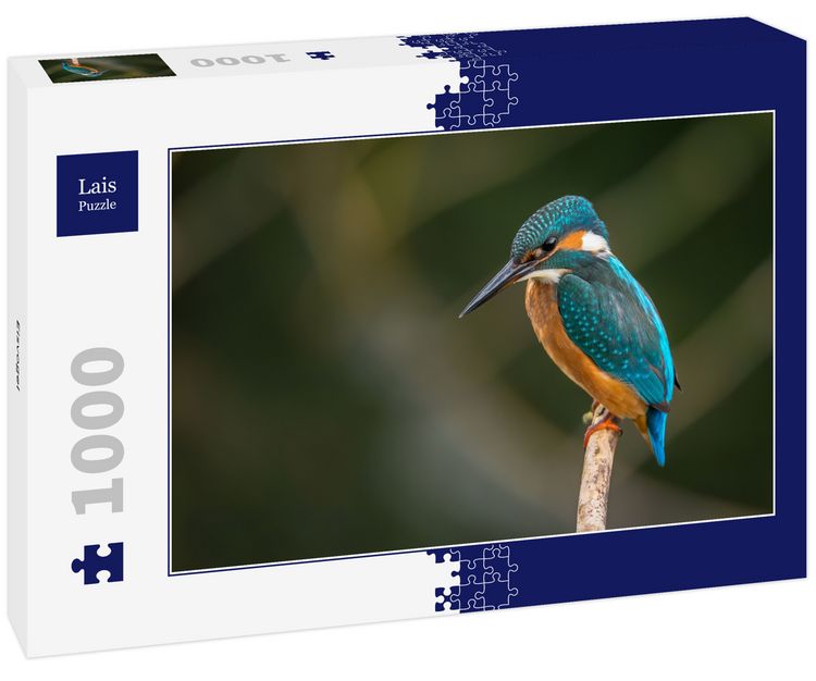 Produktbild: Lais Puzzle Eisvogel 1000 Teile
