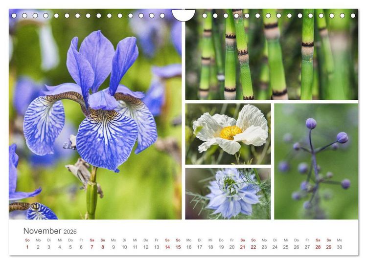 Produktbild: Ein Garten, der zum Verweilen einl&auml;dt (Wandkalender 2026 DIN A4 quer), CALVENDO Monatskalender
