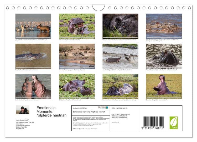 Produktbild: Emotionale Momente: Nilpferde hautnah (Wandkalender 2026 DIN A4 quer), CALVENDO Monatskalender
