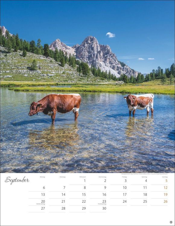 Produktbild: Sch&ouml;nes Alpenland Posterkalender 2027