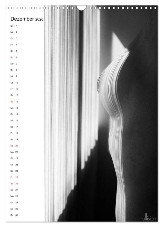 Produktbild: Akt abstrakt (Wandkalender 2026 DIN A3 hoch), CALVENDO Monatskalender