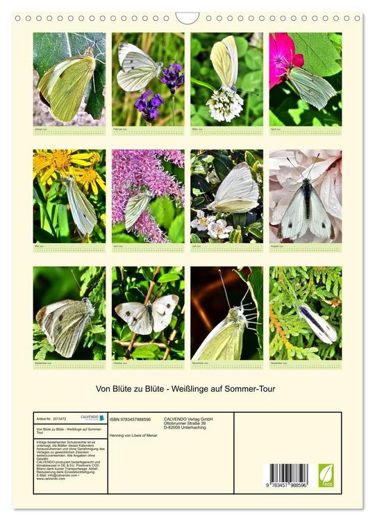 Produktbild: Von Bl&uuml;te zu Bl&uuml;te - Wei&szlig;linge auf Sommer-Tour (Wandkalender 2026 DIN A3 hoch), CALVENDO Monatskalender