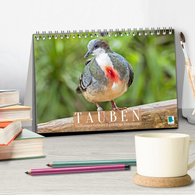 Produktbild: Tauben: vielfarbiges Gefieder und pr&auml;chtige Federkrone (Tischkalender 2026 DIN A5 quer), CALVENDO Monatskalender