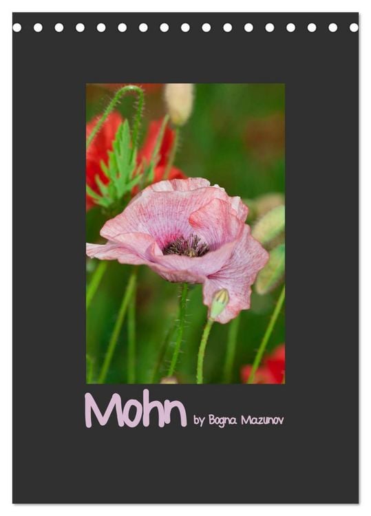 Produktbild: Mohn (Tischkalender 2026 DIN A5 hoch), CALVENDO Monatskalender