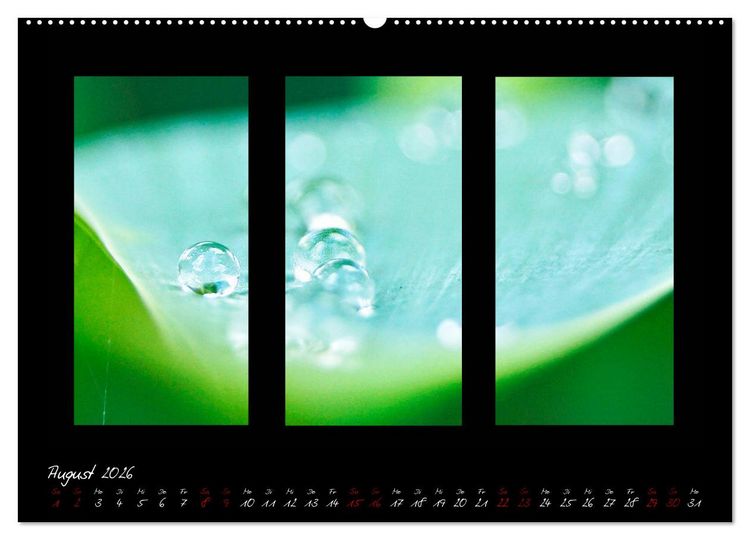 Produktbild: Die Kunst der Natur - Dreifach Stilvoll (hochwertiger Premium Wandkalender 2026 DIN A2 quer), Kunstdruck in Hochglanz