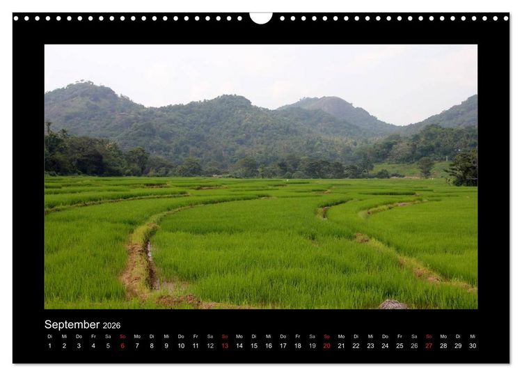 Produktbild: Sri Lanka Impressionen (Wandkalender 2026 DIN A3 quer), CALVENDO Monatskalender