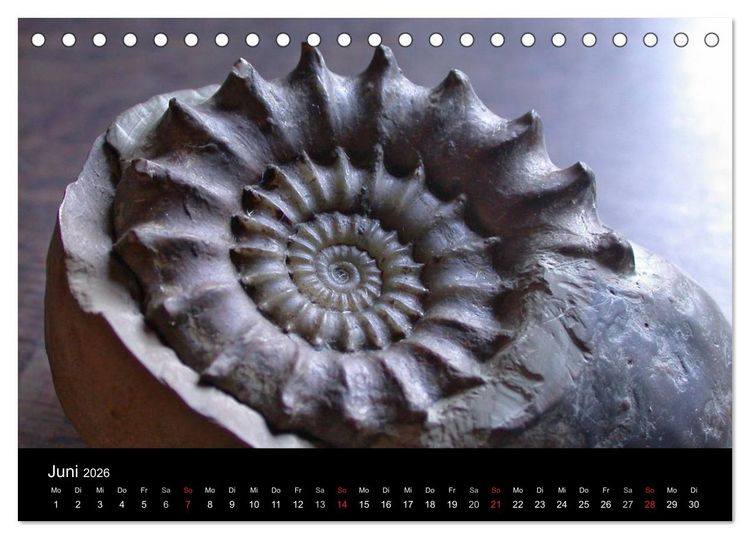 Produktbild: Fossilien - Zeugen der Urzeit (Tischkalender 2026 DIN A5 quer), CALVENDO Monatskalender