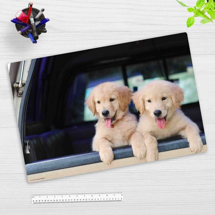 Produktbild: Cover-your-desk Schreibtischunterlage f&uuml;r Kinder und Erwachsene Golden Retriever Welpen, aus hochwertigem Vinyl , 60 x 40 cm