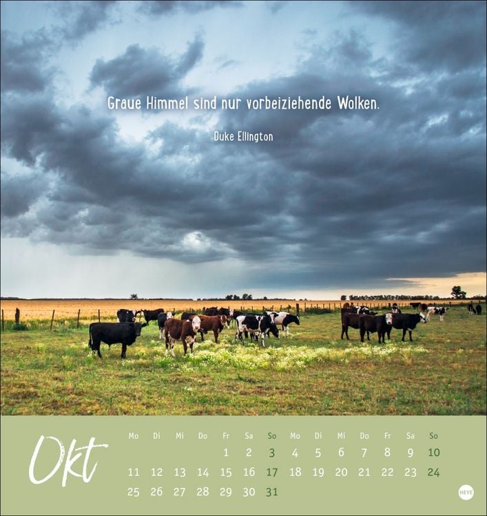 Produktbild: Never give up! Postkartenkalender 2027 - Durchhalten. Denn alles wird gut.