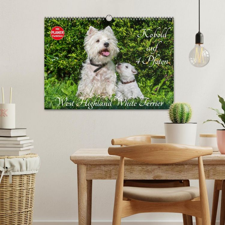 Produktbild: Kobold auf 4 Pfoten - West Highland White Terrier (Wandkalender 2026 DIN A3 quer), CALVENDO Monatskalender