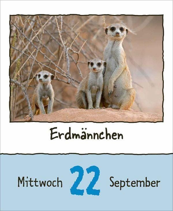 Produktbild: Tierisch unterwegs 2027