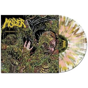 Produktbild: Engrossed In Decay