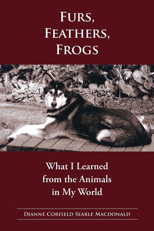 Produktbild: Fur, Feathers, Frogs