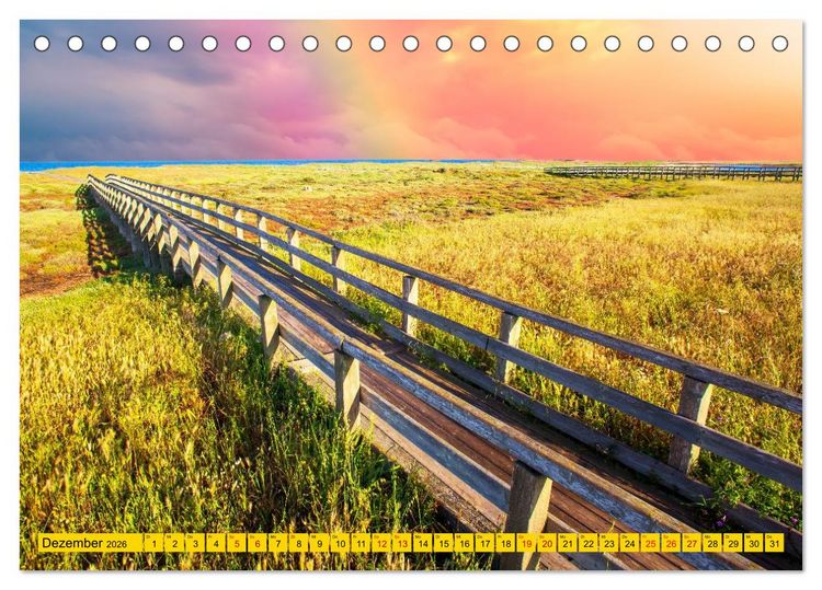 Produktbild: Das Element Holz - Ein Sinnbild (Tischkalender 2026 DIN A5 quer), CALVENDO Monatskalender