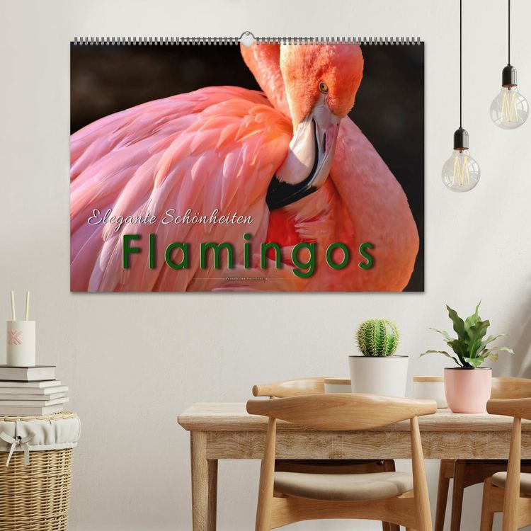 Produktbild: Flamingos - elegante Sch&ouml;nheiten (Wandkalender 2026 DIN A2 quer), CALVENDO Monatskalender