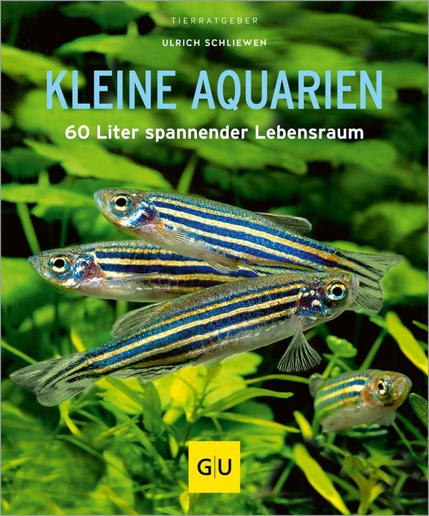 Bild vom Artikel Kleine Aquarien vom Autor Ulrich Schliewen