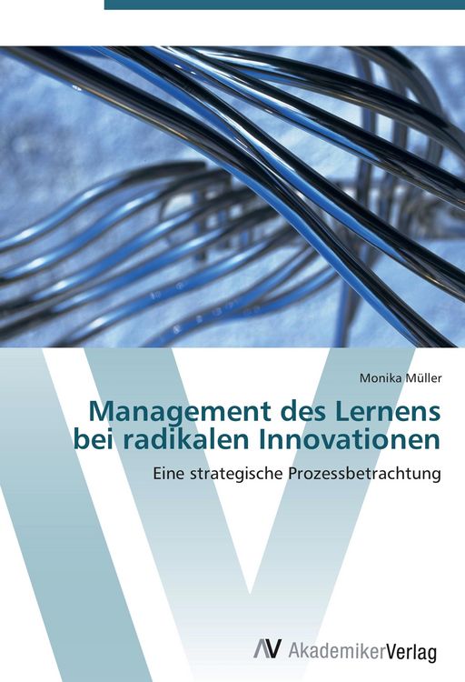 Produktbild: Management des Lernens bei radikalen Innovationen