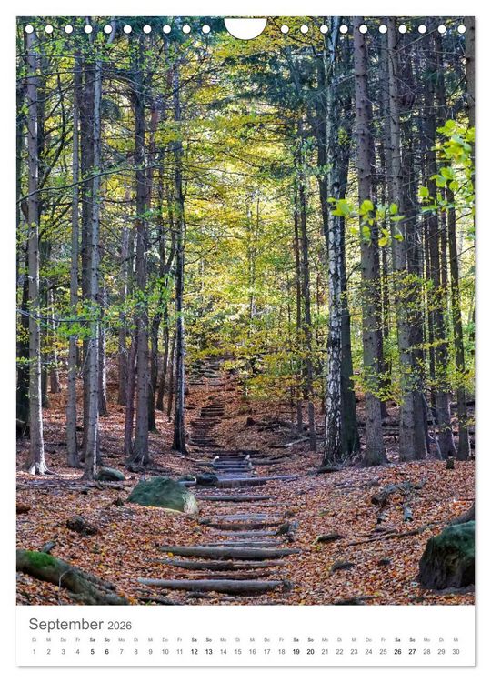 Produktbild: Wald - bezaubernde Landschaften (Wandkalender 2026 DIN A4 hoch), CALVENDO Monatskalender