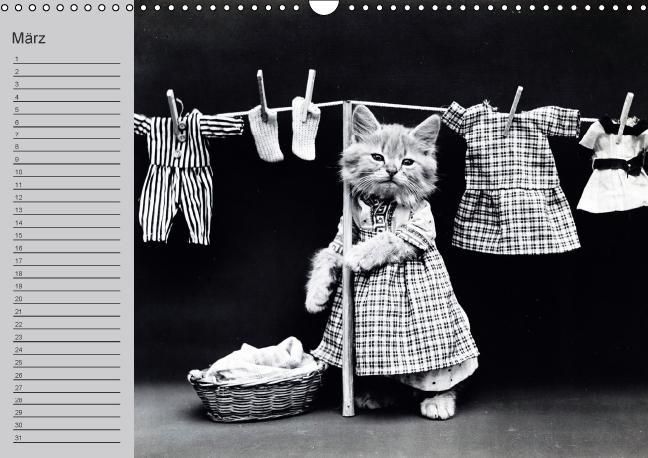 Produktbild: Katzen und Hunde - Nostalgie auf Pfoten (Wandkalender immerw&auml;hrend DIN A3 quer)