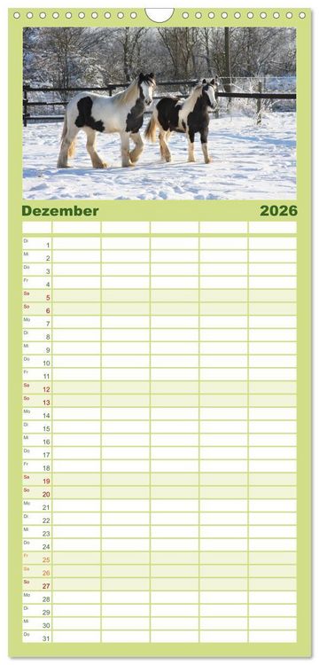 Produktbild: Familienplaner 2026 - Irish Tinker mit 5 Spalten (Wandkalender, 21 x 45 cm) CALVENDO