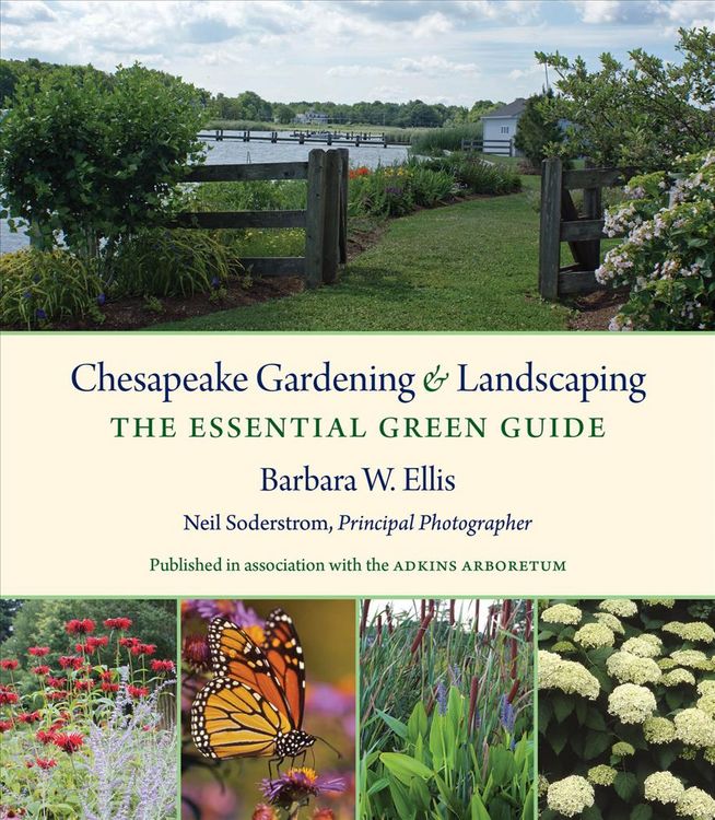 Produktbild: Chesapeake Gardening and Landscaping
