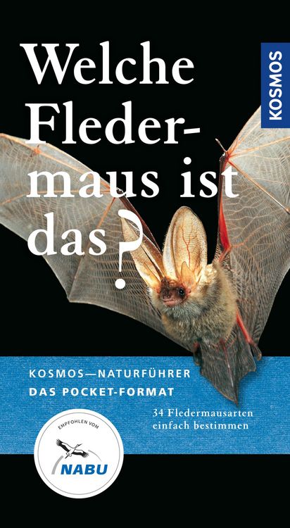 Produktbild: Welche Fledermaus ist das?