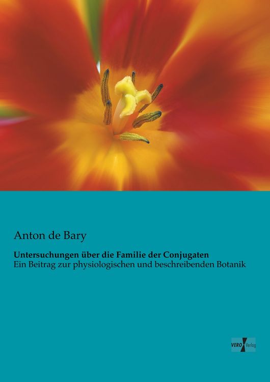 Produktbild: Untersuchungen &uuml;ber die Familie der Conjugaten
