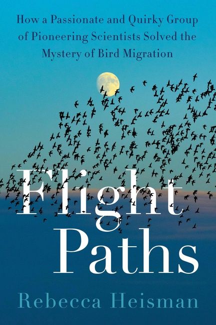 Produktbild: Flight Paths