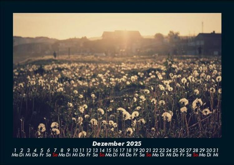 Produktbild: Blumentr&auml;ume 2025 Fotokalender DIN A5