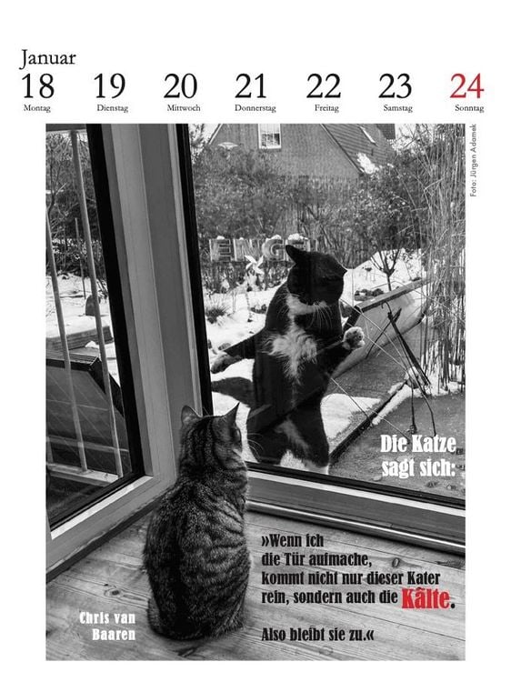 Produktbild: Der literarische Katzenkalender 2027