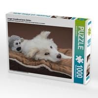 Produktbild: CALVENDO Puzzle Junger Islandhund beim Chillen 1000 Teile Lege-Gr&ouml;&szlig;e 64 x 48 cm Foto-Puzzle Bild von Monika Scheurer