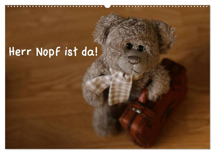 Produktbild: Herr Nopf ist da! (Wandkalender 2026 DIN A2 quer), CALVENDO Monatskalender