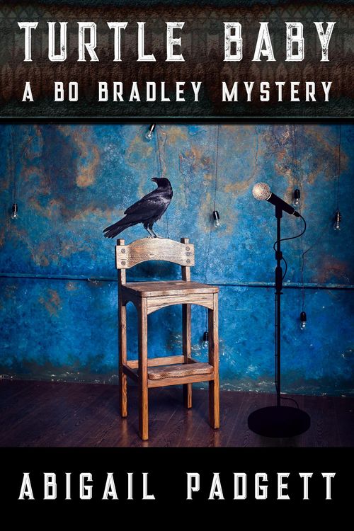 Produktbild: Turtle Baby (Bo Bradley Mystery, #3)