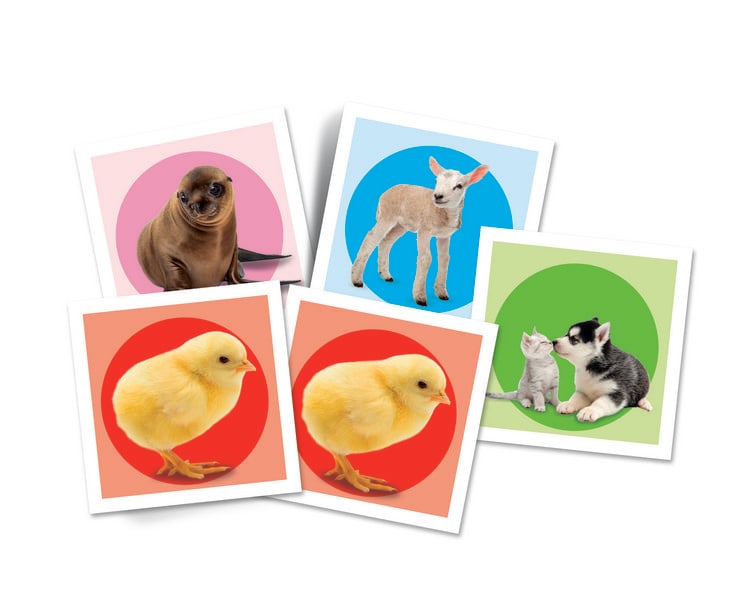 Produktbild: Kinderspiel Disney Tierbabies Memo Kompakt mit 48 Karten