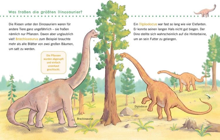 Produktbild: Unkaputtbar: Erstes Wissen: Dinosaurier
