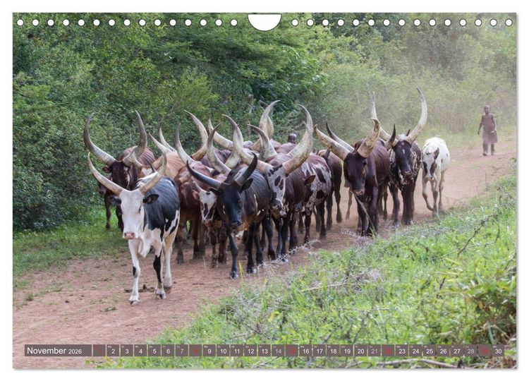 Produktbild: Geheimtipp Uganda (Wandkalender 2026 DIN A4 quer), CALVENDO Monatskalender