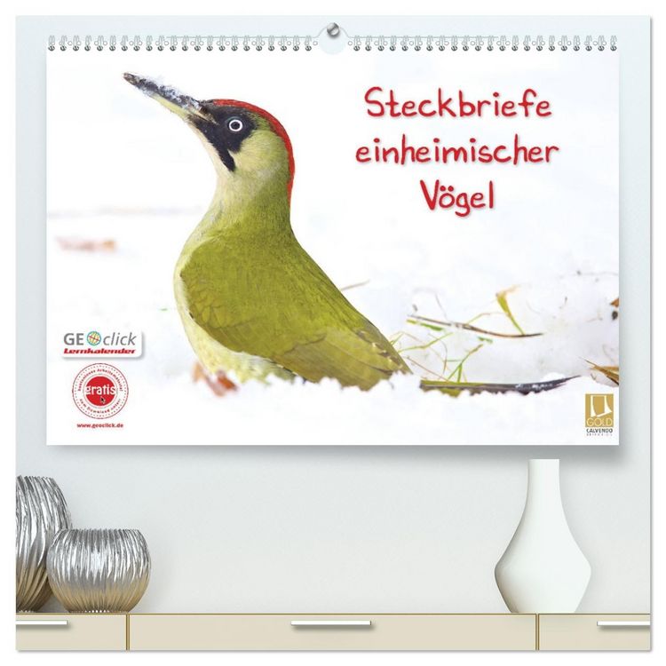 Produktbild: Steckbriefe einheimischer V&ouml;gel (hochwertiger Premium Wandkalender 2026 DIN A2 quer), Kunstdruck in Hochglanz