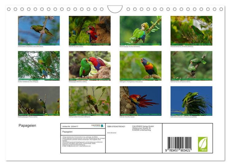 Produktbild: Papageien (Wandkalender 2026 DIN A4 quer), CALVENDO Monatskalender