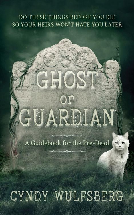 Produktbild: Ghost and Guardian